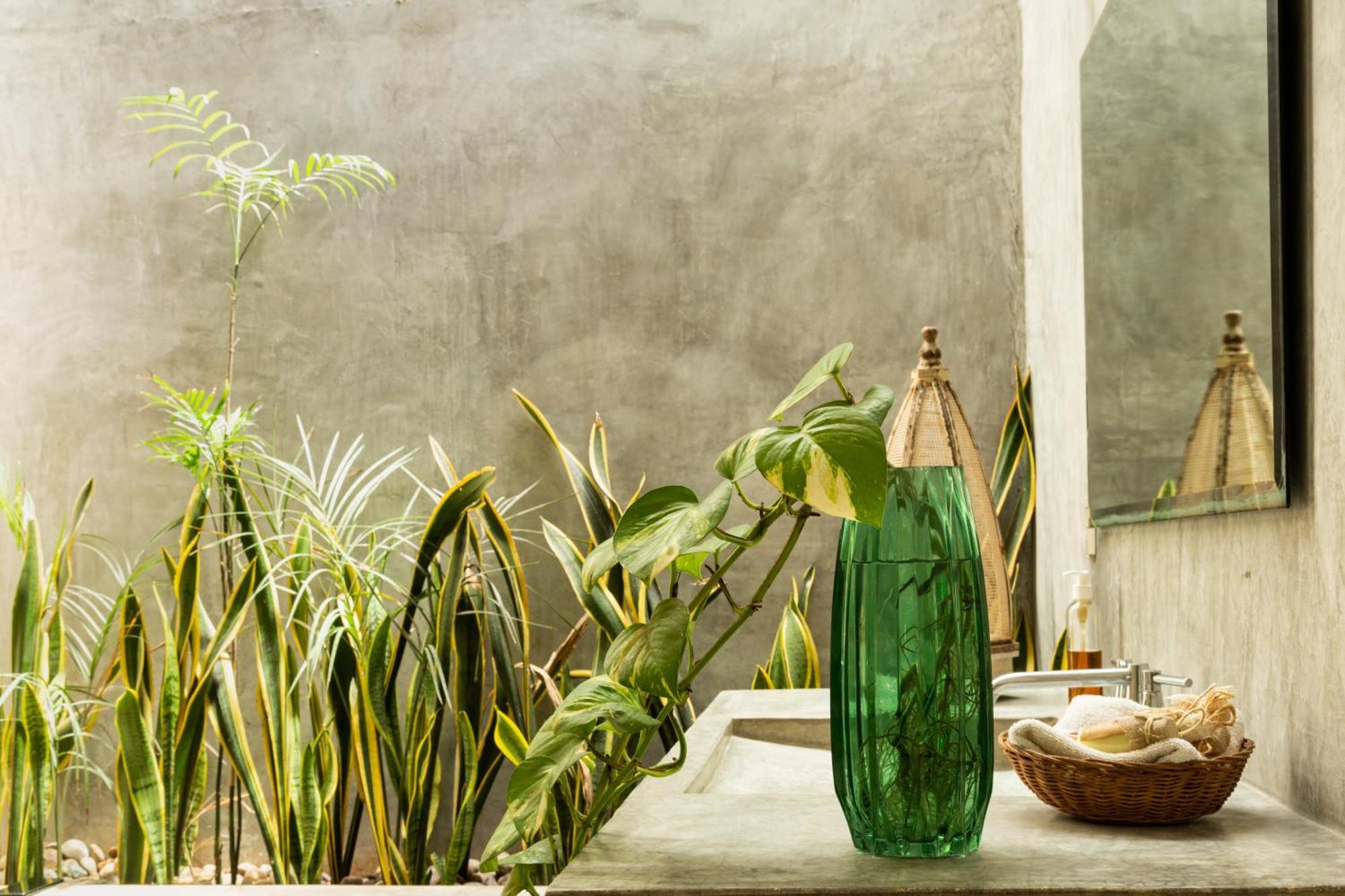 La Posada Del Sol Boutique Hotel Τουλούμ Δωμάτιο φωτογραφία