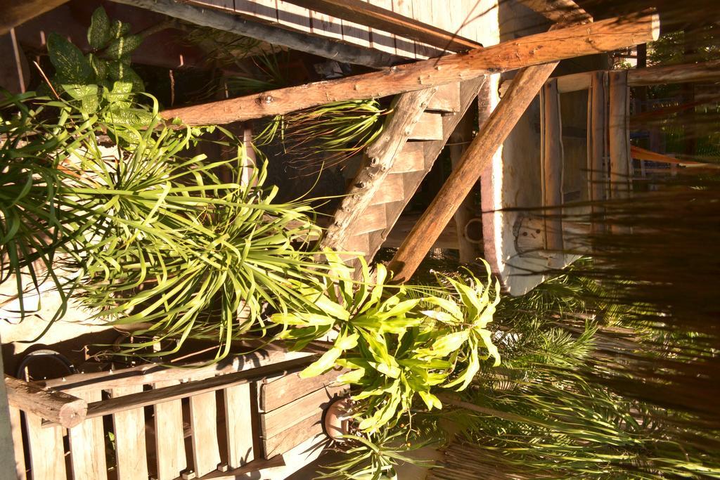 La Posada Del Sol Boutique Hotel Τουλούμ Εξωτερικό φωτογραφία